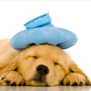 Vertiginous Migraine Information - Menstrual Migraine And Its Symptoms